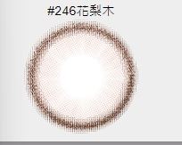 星歐 SUPER彩色日拋(10片裝)4