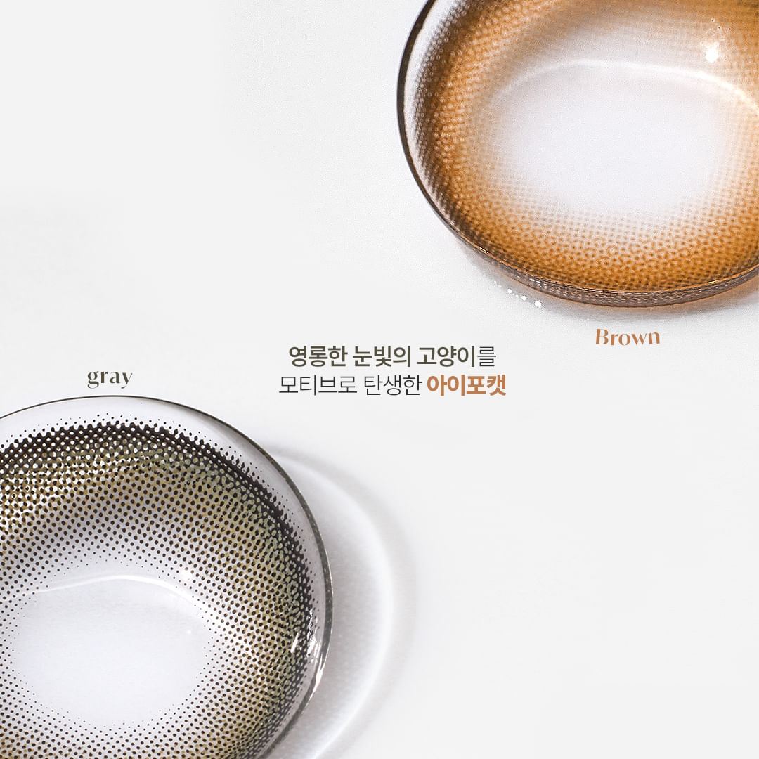 (安儷混搭6盒出貨) LENSME-EYE FOUR CAT彩色月拋(2片裝)<[安儷+PARAVISICN]品牌訂購數量需要 6 盒以上才會出貨>4