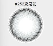 星歐 SUPER彩色日拋(10片裝)4